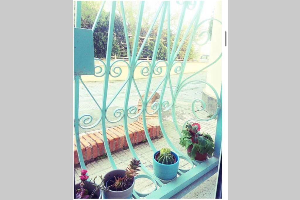 شقة ليدو دي أوستيا  في Cosy Studio Flat On The Seaside المظهر الخارجي الصورة